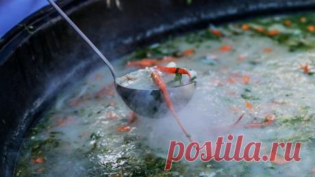 Названы самые полезные и самые вредные российские супы - РИА Новости, 05.04.2019