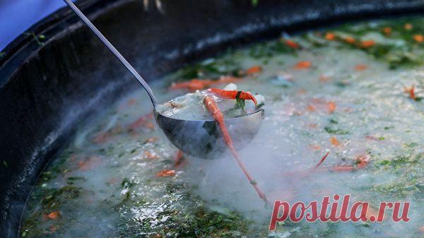 Названы самые полезные и самые вредные российские супы - РИА Новости, 05.04.2019