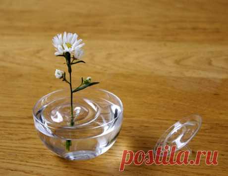 Вазы - насадки для цветов в виде кругов на воде
