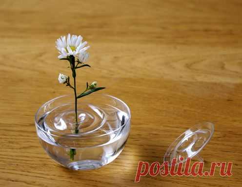 Вазы - насадки для цветов в виде кругов на воде