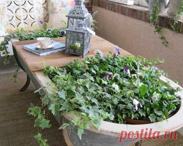 Как быстро, стильно и бюджетно  дачу
