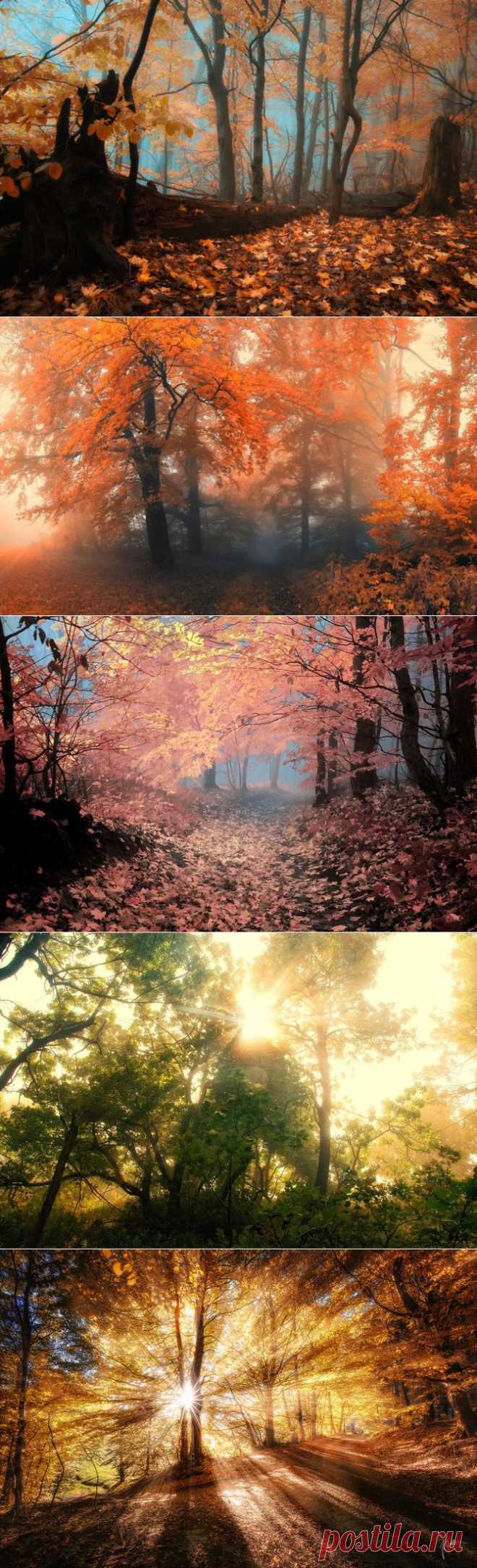 Фотопейзажи чешского фотографа Janek Sedlar