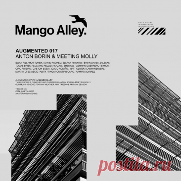VA - Augmented 017 / Anton Borin & Meeting Molly ALLEYAUG017 » MinimalFreaks.co