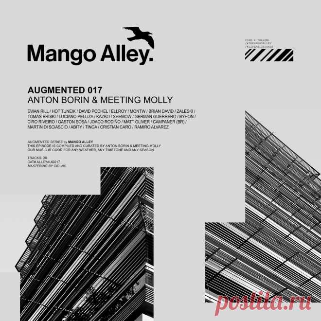VA - Augmented 017 / Anton Borin & Meeting Molly ALLEYAUG017 » MinimalFreaks.co