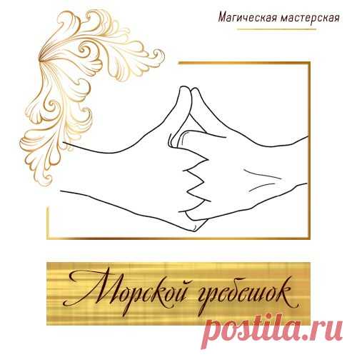 (93) Мудра «Морской гребешок» Морской гребешок... - Валентина Петрунина