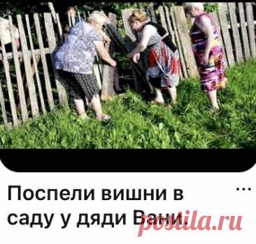 Выпуск №6474 - выпуск анекдотов сайта вокруг смеха