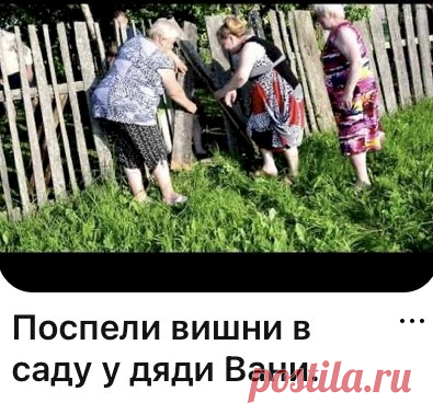Выпуск №6474 - выпуск анекдотов сайта вокруг смеха