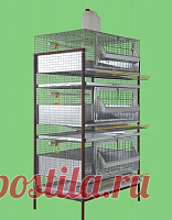Клетка для кур, 3 отсека на 30-45 голов (КН-3я-3о) Купите клетки для кур-несушек – повысьте их яйценоскость! Да, это возможно и это правда: условия содержания очень сильно ...