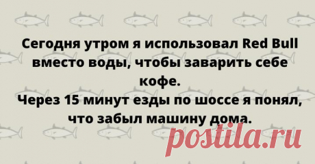 Искрометные шутки в картинках Хорошего дня!