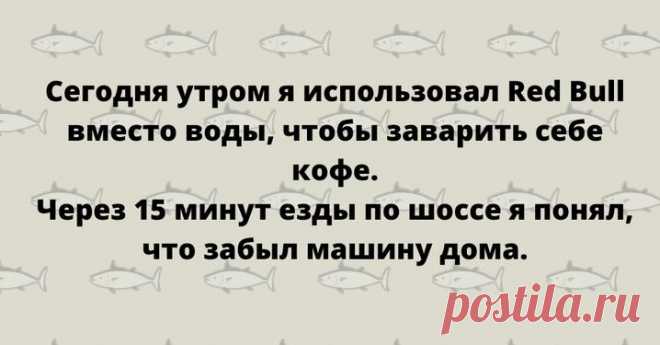 Искрометные шутки в картинках Хорошего дня!