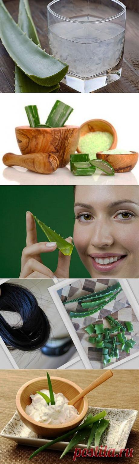 Маски из алоэ для лица и волос - Женский журнал LadySpecial.ru