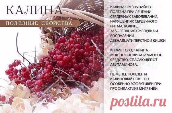ПОЛЕЗНО ЗНАТЬ!