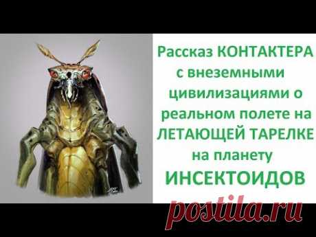 Интервью с Ириной Подзоровой после реального полёта на летающей тарелке на планету инсектоидов