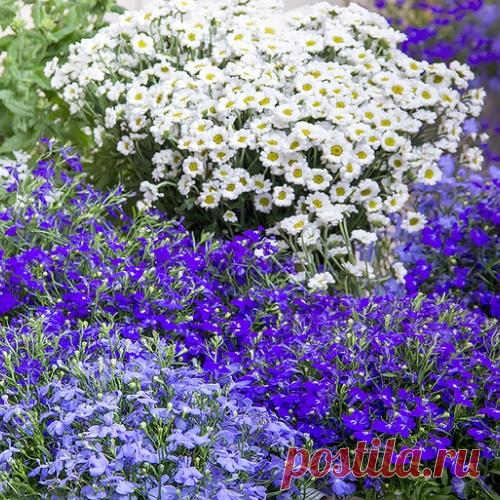 САДОВО-ДАЧНОЕ! ДЛЯ ДУШИ