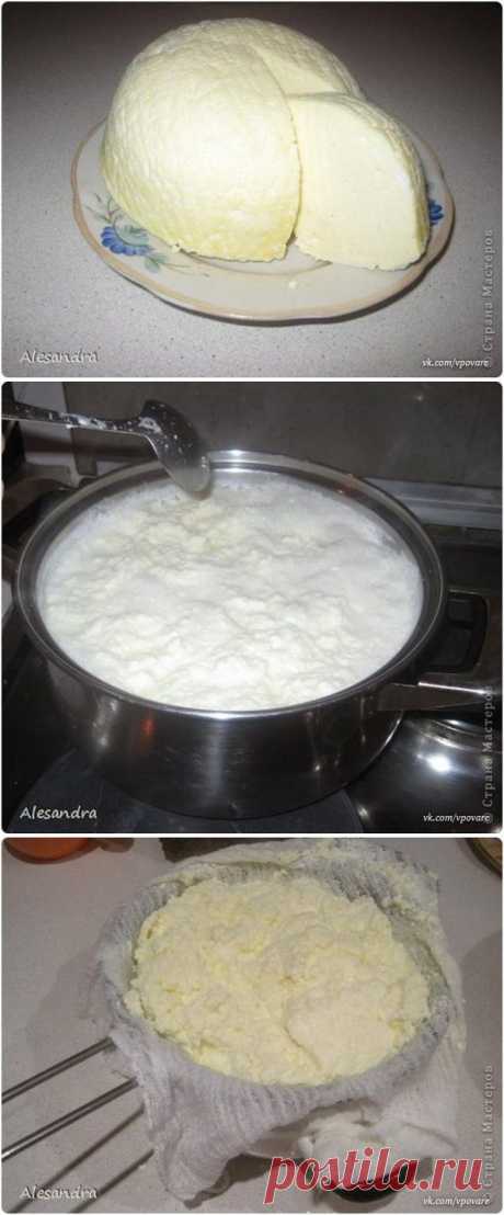 КАК ПРИГОТОВИТЬ СУЛУГУНИ В ДОМАШНИХ УСЛОВИЯХ