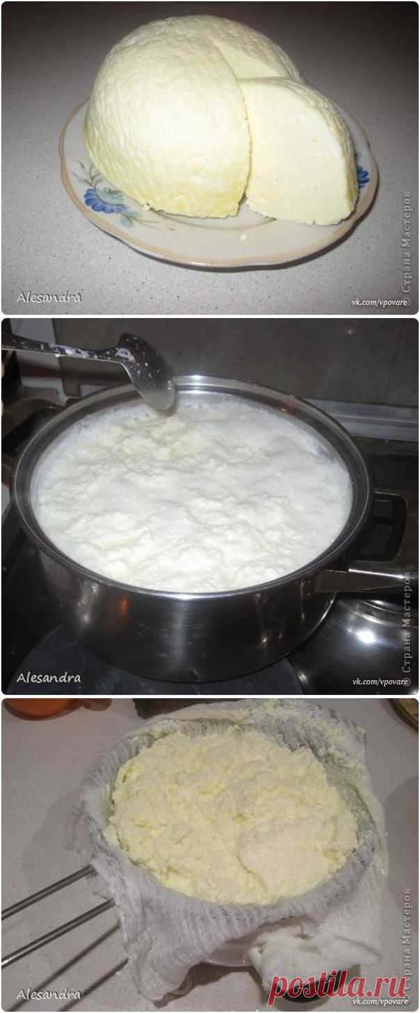 КАК ПРИГОТОВИТЬ СУЛУГУНИ В ДОМАШНИХ УСЛОВИЯХ