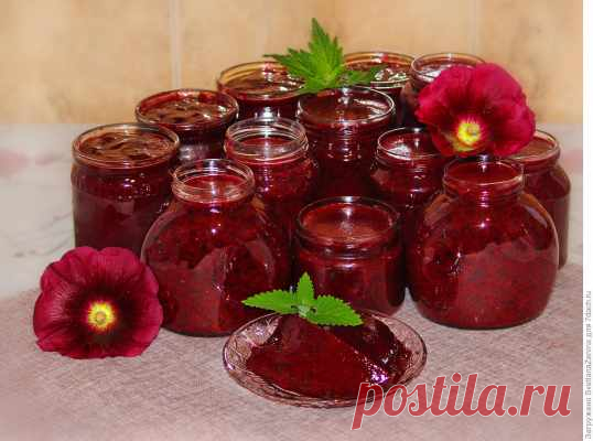 Самое вкусное, самое быстрое, самое полезное желе из черной смородины — Домашняя кулинария