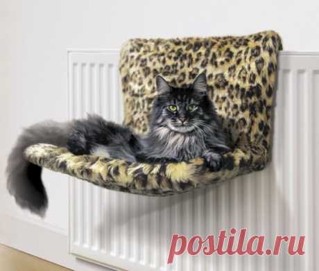 15 невероятных домиков для кошек и собак, которые заставят улыбнуться Большинство животных предпочитают спать в хозяйской кровати или в в обычной коробке. Но это не останавливает полет фантазии дизайнеров, которые из год в год придумывают сумасшедшую мебель для домашних...