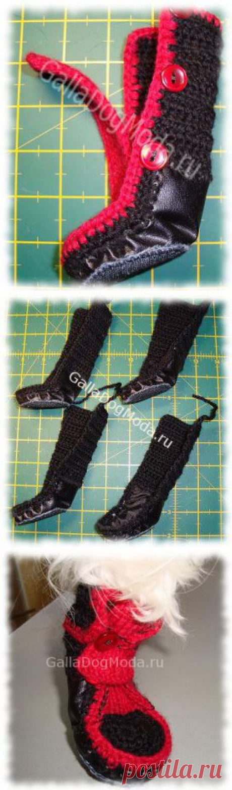 ОДЕЖДА ДЛЯ СОБАК » handmade идеи