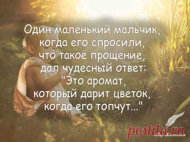 Мир всезнайки | цитаты, стихи, истории