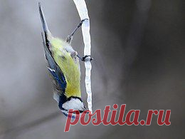 Берегите природу