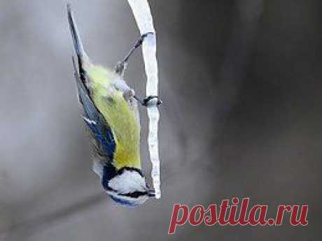 Берегите природу