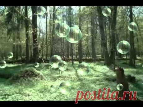 Френсис Гойя   Беловежская пуща - YouTube