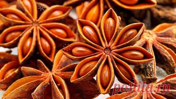 Как быстро и вкусно вылечить кашель

В народе с давних пор используются рецепты для быстрого лечения кашля с помощью самых распространенных продуктов.

1. Горячее молоко.
Показать полностью…
