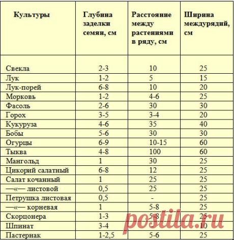 Сроки и глубина посева семян | Овощи на приусадебном участке