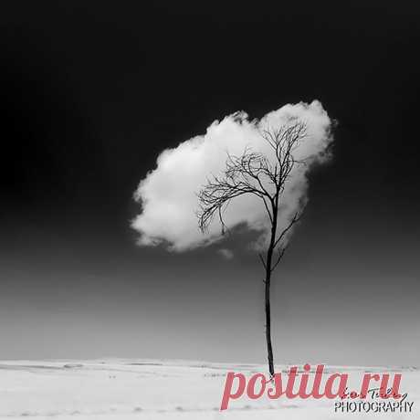 FFUN — Невероятные рисунки на небе: облака в форме птиц, драконов, собак