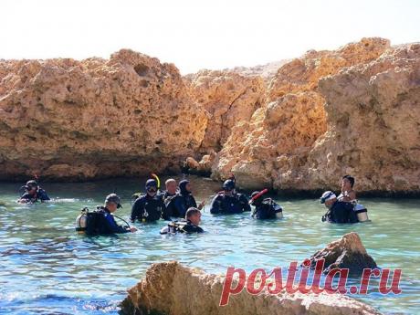 (41) Виктор Перчик - Предновогодний выезд в Шарм. Декабрь 2014