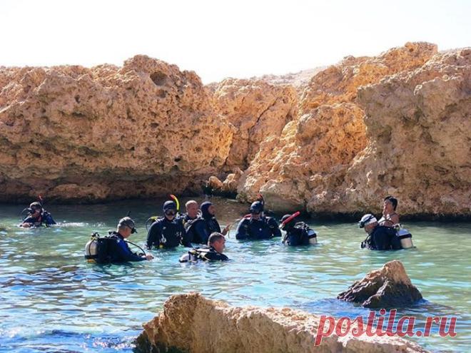 (41) Виктор Перчик - Предновогодний выезд в Шарм. Декабрь 2014