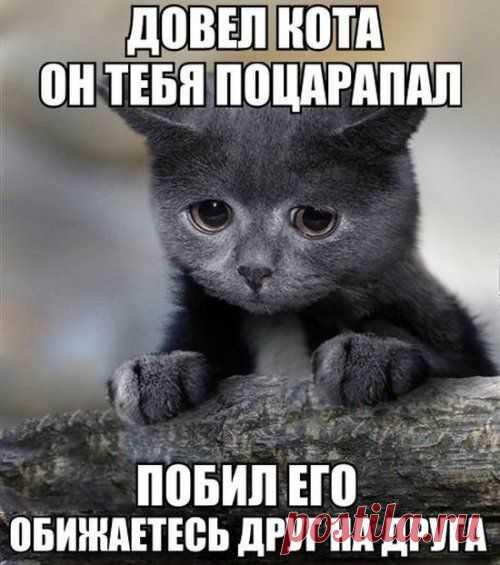 Ничего не изменилось | Позитив в картинках и не только
