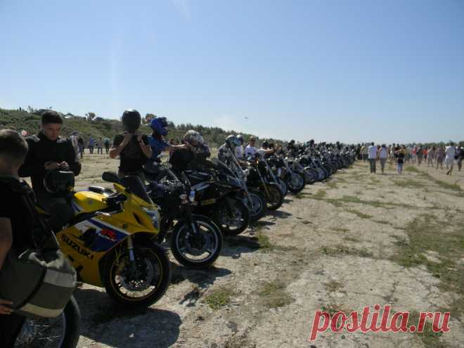 Фотографии Наталья Ляхова | 1303 фото