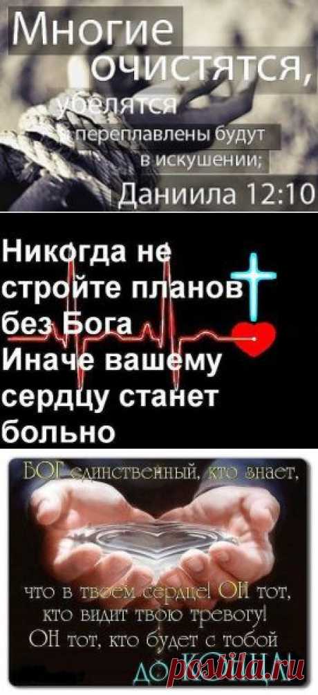 (19) Одноклассники