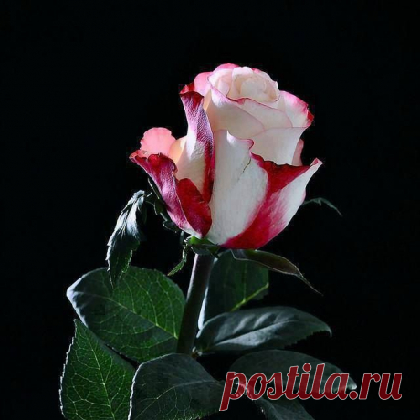 Интересные новости