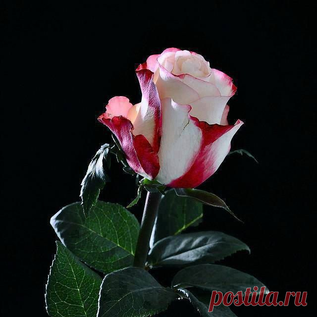 Интересные новости