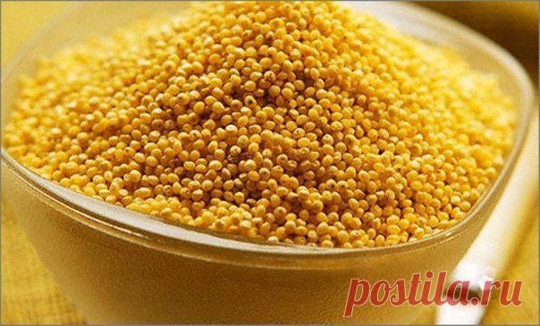 ПШЕНО ОЧИЩАЕТ ПОЧКИ И НОРМАЛИЗУЕТ ДАВЛЕНИЕ.