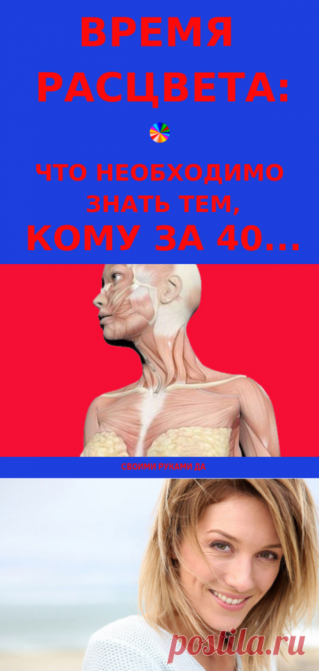 Время расцвета: Что необходимо знать тем, кому за 40
