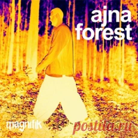 Download Ajna (BE) – Forest (Original Mix) - Organic House / Downtempo - MusicVibez Download Ajna (BE) – Forest (Original Mix) in 320 kbps, FLAC and WAV — fresh DJ releases Label/Cat#: Magnifik Music – MM093 Year: 2026-04-17 Genre: Afro House