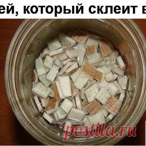 ТОП-10 РАСТЕНИЙ ДЛЯ ТЕМНЫХ ПОМЕЩЕНИЙ!
