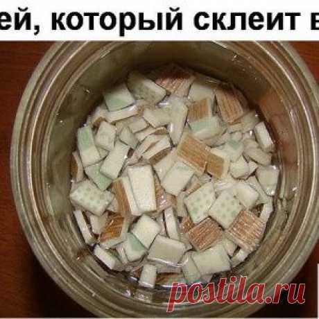 ТОП-10 РАСТЕНИЙ ДЛЯ ТЕМНЫХ ПОМЕЩЕНИЙ!