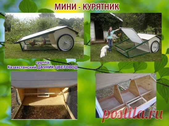 (12) Одноклассники