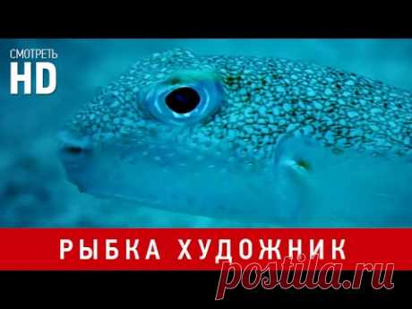 ххх