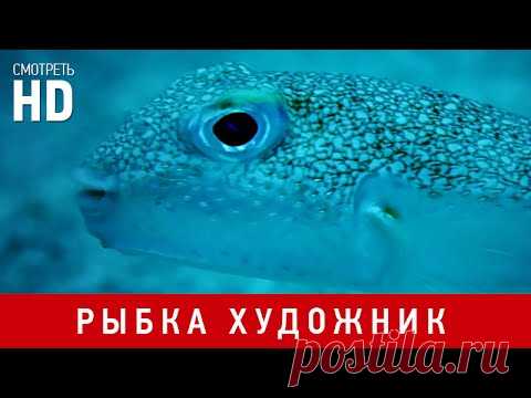 Дневник morskay10