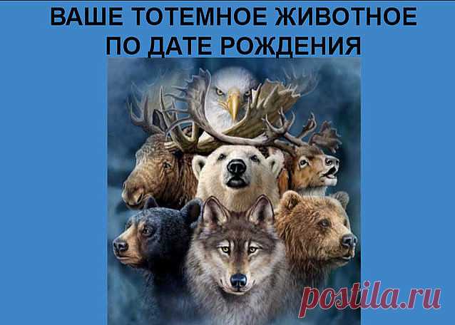 (46) Одноклассники