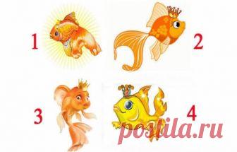 Выбирайте одну из этих Золотых рыбок, и узнаете когда исполнится ваша заветная мечта У каждого человека есть свои мечты и желания. Все мы тем или иным образом стремимся, чтобы все они осуществились.
Но сбываются лишь только те, которые идут от чистого сердца.
Представьте, что вы стоит…