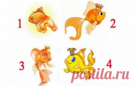 Выбирайте одну из этих Золотых рыбок, и узнаете когда исполнится ваша заветная мечта У каждого человека есть свои мечты и желания. Все мы тем или иным образом стремимся, чтобы все они осуществились.
Но сбываются лишь только те, которые идут от чистого сердца.
Представьте, что вы стоит…