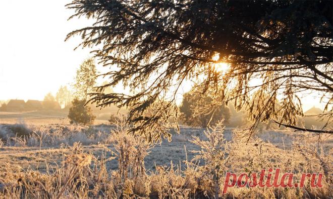 Тверская обл., октябрь 2010 г.