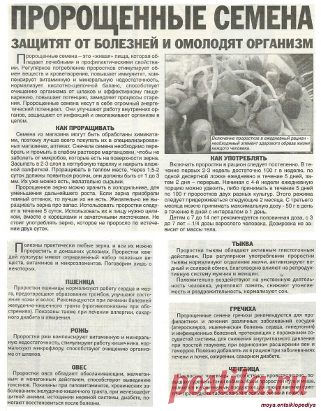 Пророщенные семена защитят от болезней и омолодят организм